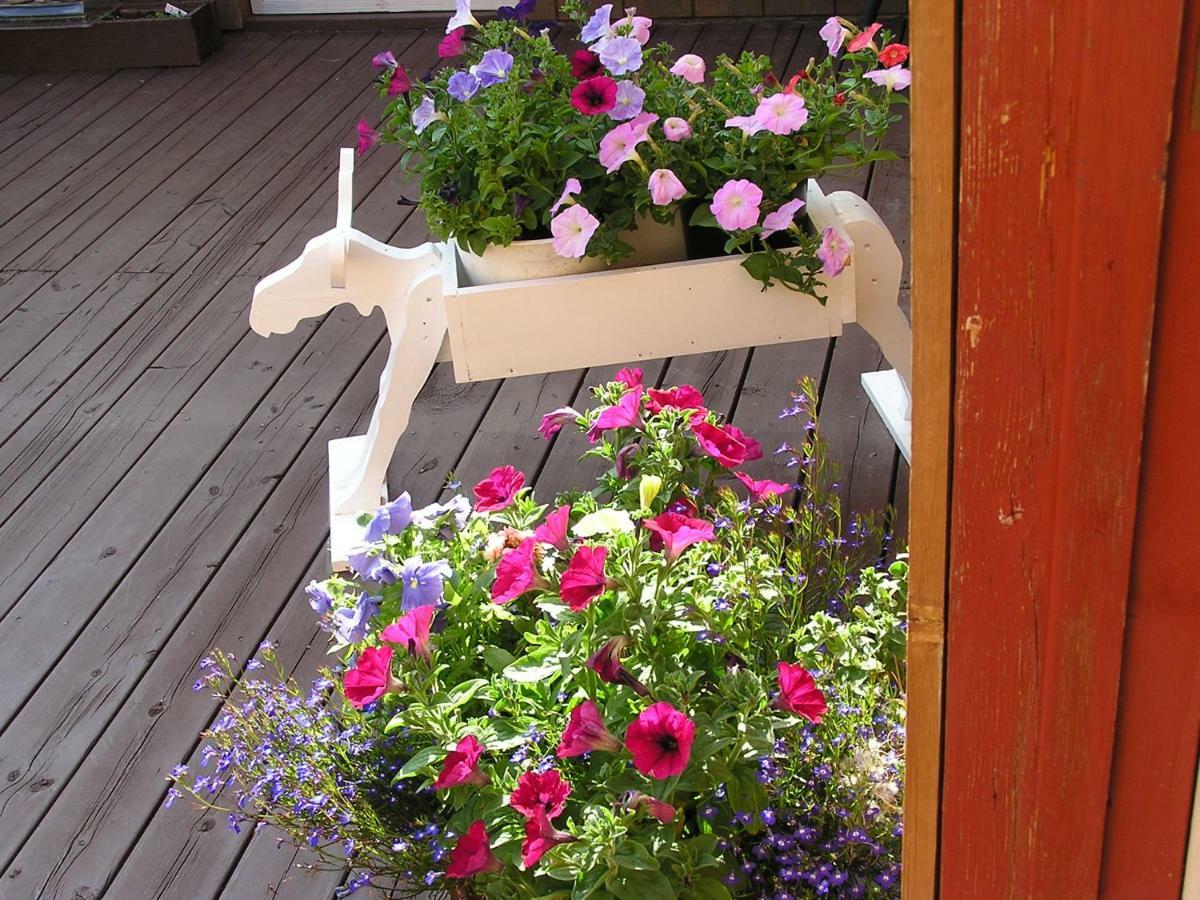 White Moose Lodge Хийли Екстериор снимка