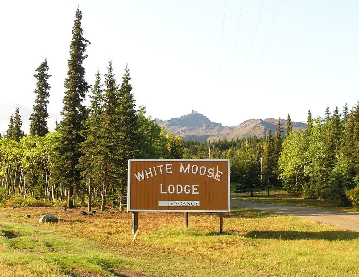 White Moose Lodge Хийли Екстериор снимка